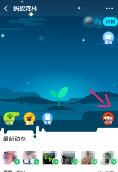 支付寶螞蟻森林如何發起合種？螞蟻森林操作教程