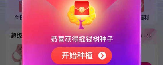 淘寶搖錢樹在哪里？淘寶搖錢樹位置詳情介紹！