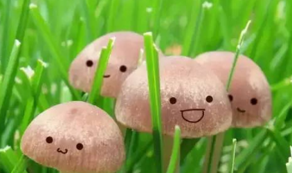 微信微粒貸怎么開通？小編教你玩轉(zhuǎn)微粒貸！