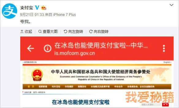 支付寶錦鯉是什么意思_支付寶錦鯉獎(jiǎng)勵(lì)內(nèi)容清單