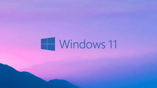 win11正式版有wsa嗎詳細(xì)介紹