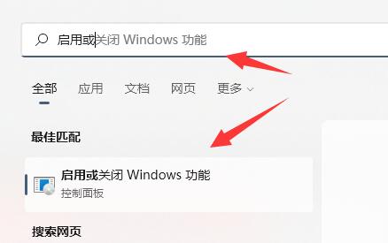 win11正式版有wsa嗎詳細(xì)介紹
