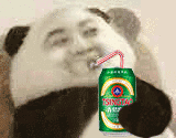 抖音熊貓人喝飲料GIF表情包分享_熊貓人喝飲料動態(tài)表情大全