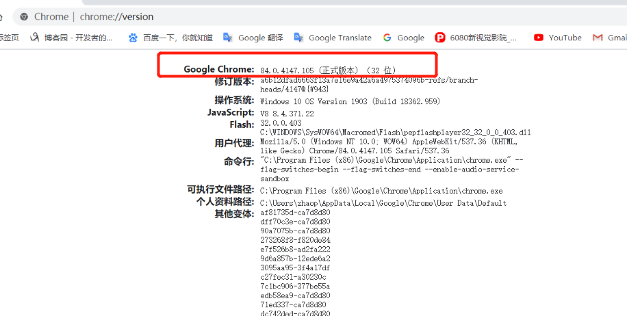 搭建 springboot selenium 網(wǎng)頁文件轉(zhuǎn)圖片環(huán)境的詳細教程