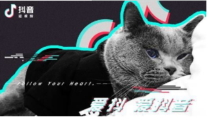 抖音六眼飛魚出自哪里？抖音六眼飛魚來源出處介紹