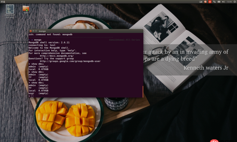 node.js - 如何在webstorm中啟動并連接mongodb數(shù)據(jù)庫呢？