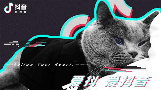 抖音違規后果有哪些 2018抖音違規處理公告