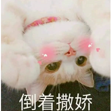 抖音喵喵喵貓咪表情包高清無水印圖片分享！