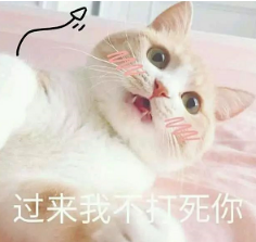 抖音喵喵喵貓咪表情包高清無水印圖片分享！