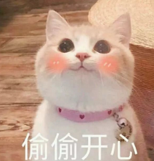 抖音喵喵喵貓咪表情包高清無水印圖片分享！