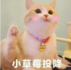 抖音喵喵喵貓咪表情包高清無水印圖片分享！