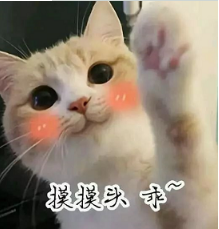 抖音喵喵喵貓咪表情包高清無水印圖片分享！