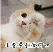 抖音喵喵喵貓咪表情包高清無水印圖片分享！
