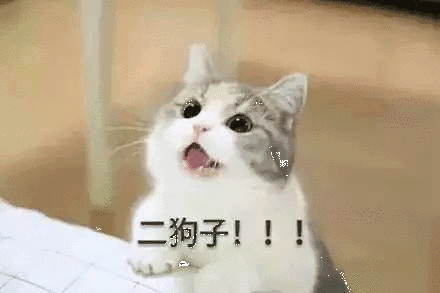 【抖音貓咪哄老公】超萌哄老公無(wú)水印表情包