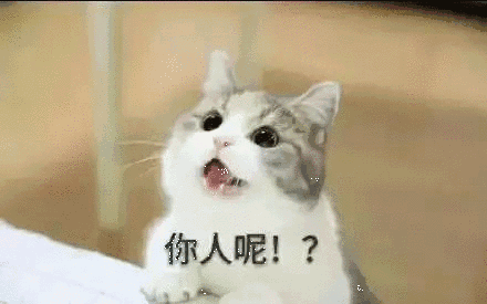 【抖音貓咪哄老公】超萌哄老公無(wú)水印表情包