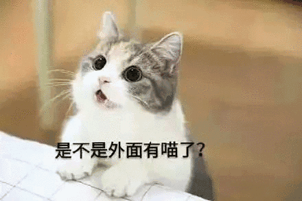 【抖音貓咪哄老公】超萌哄老公無(wú)水印表情包