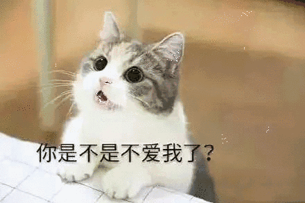 【抖音貓咪哄老公】超萌哄老公無(wú)水印表情包