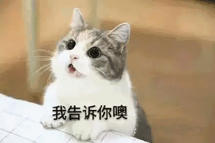 【抖音貓咪哄老公】超萌哄老公無(wú)水印表情包
