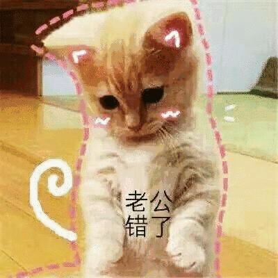 【抖音貓咪哄老公】超萌哄老公無(wú)水印表情包