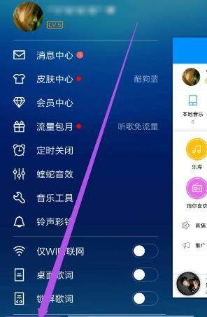酷狗音樂(lè)歌手寫真怎么關(guān)閉_酷狗音樂(lè)關(guān)閉歌手寫真方法【圖】