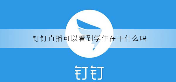 釘釘直播可以看到學(xué)生在干什么嗎
