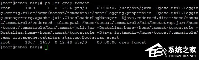 Linux系統(tǒng)如何查看和結(jié)束進程？