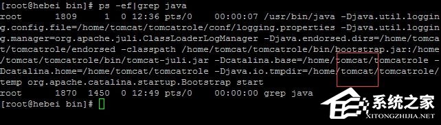 Linux系統(tǒng)如何查看和結(jié)束進程？