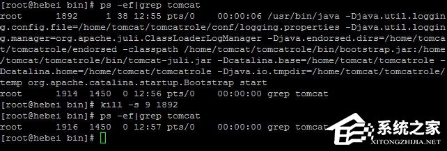 Linux系統(tǒng)如何查看和結(jié)束進程？