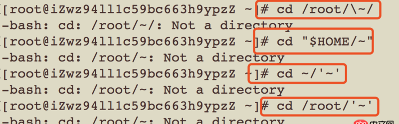 bash - 不小心在linux上創建了一個名字為 ’~’ (不包含引號)的文件夾，現在怎么都進不去這個文件夾了