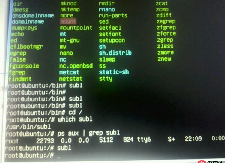 ubuntu如何啟動(dòng)sublime