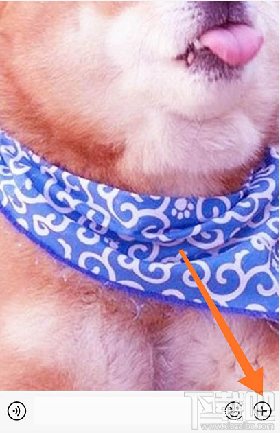 微信紅包封面序列號(hào)怎么添加？
