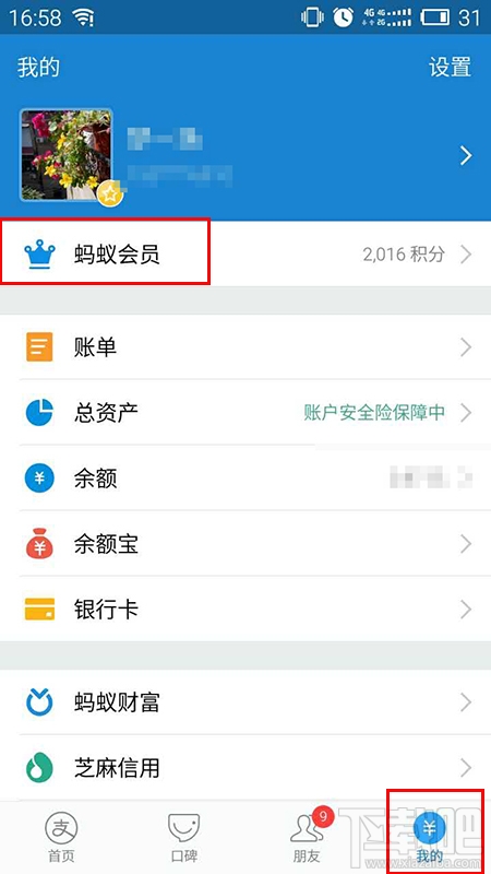 怎么看支付寶等級？怎么看自己是不是支付寶鉑金會員？