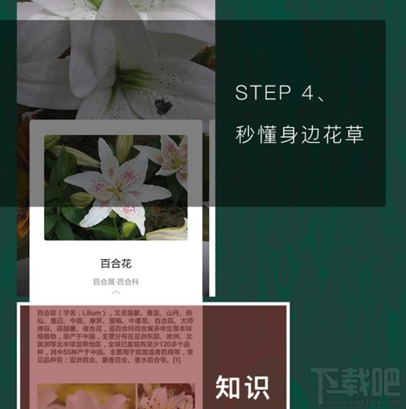 QQ瀏覽器識(shí)你所見是什么？QQ瀏覽器識(shí)你所見怎么玩？