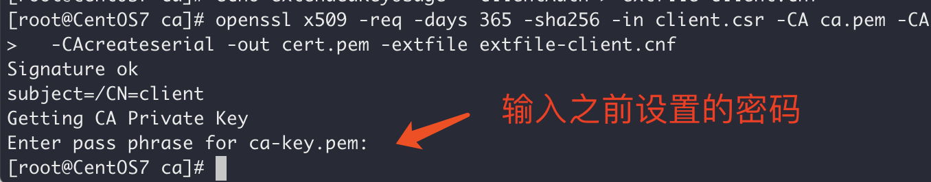 Docker開(kāi)啟遠(yuǎn)程安全訪問(wèn)的圖文教程詳解