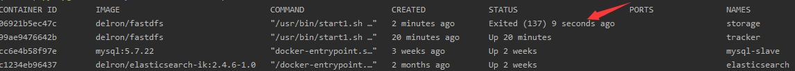 docker使用storage出現(xiàn)Exit導致文件無法上傳服務(wù)器的問題及解決方案