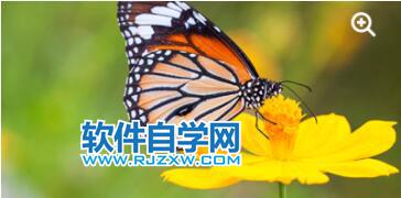 PS柵格圖像是什么意思？