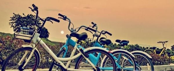 共享單車忘記鎖了應(yīng)該怎么辦？