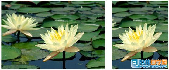 CorelDRAW中如何裁剪導(dǎo)入的位圖