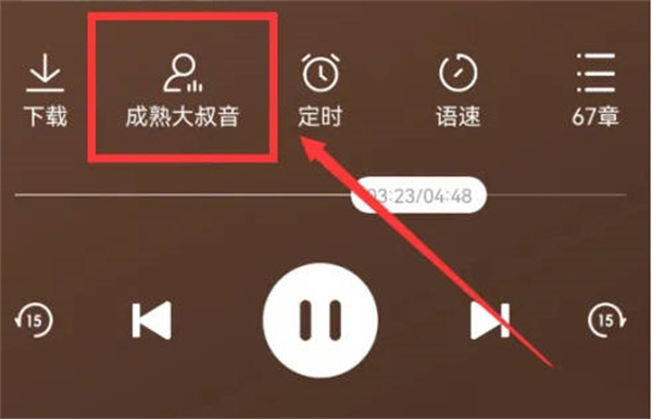 番茄暢聽(tīng)怎么切換聲音